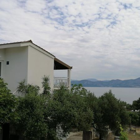 Apartments Bozo Drače Esterno foto